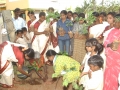 Planting the first trees at the gate of Madilu girls home